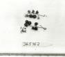 Click for 1 image(s) for this accession. FRUIT